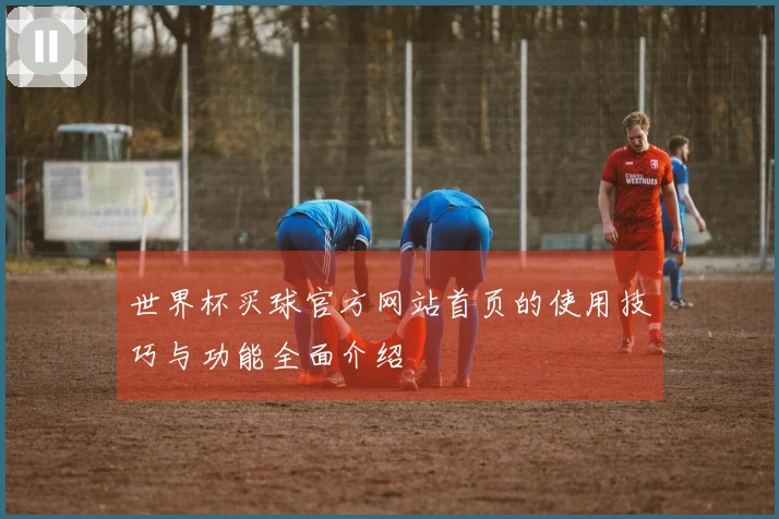 世界杯买球官方网站首页的使用技巧与功能全面介绍