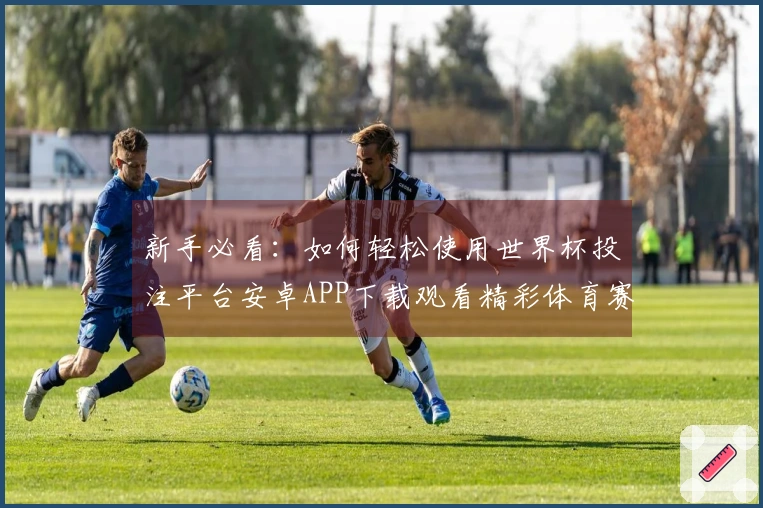 新手必看：如何轻松使用世界杯投注平台安卓APP下载观看精彩体育赛事
