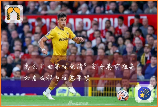 怎么买世界杯竞猜？新手赛前准备必看流程与注意事项
