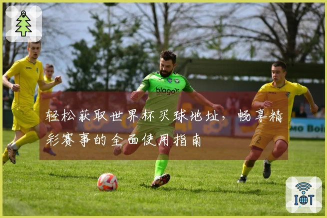 轻松获取世界杯买球地址，畅享精彩赛事的全面使用指南
