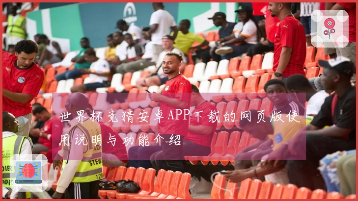 世界杯竞猜安卓APP下载的网页版使用说明与功能介绍