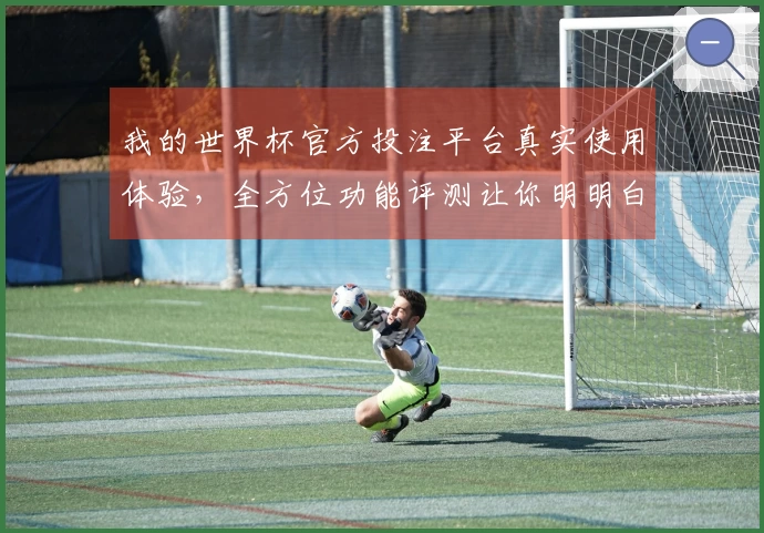 我的世界杯官方投注平台真实使用体验，全方位功能评测让你明明白白。