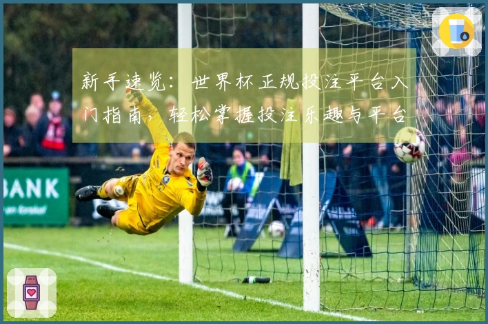 新手速览：世界杯正规投注平台入门指南，轻松掌握投注乐趣与平台特色