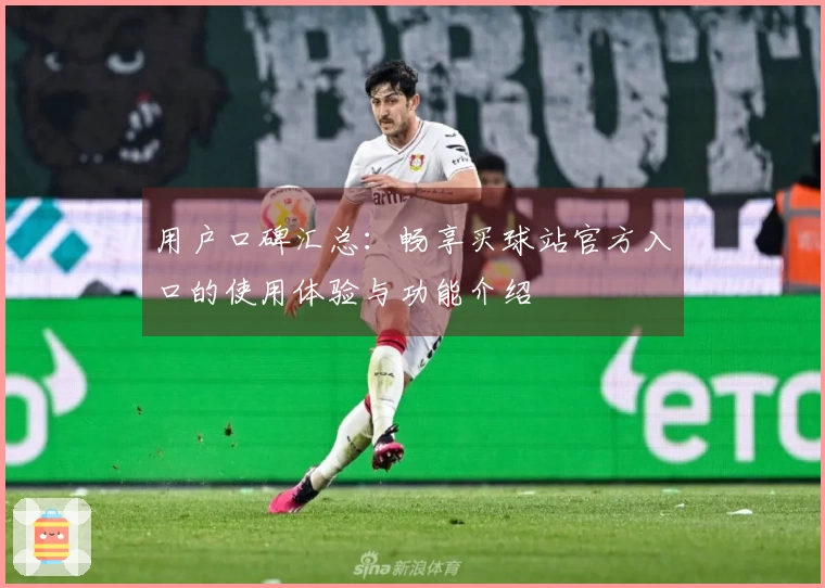用户口碑汇总：畅享买球站官方入口的使用体验与功能介绍