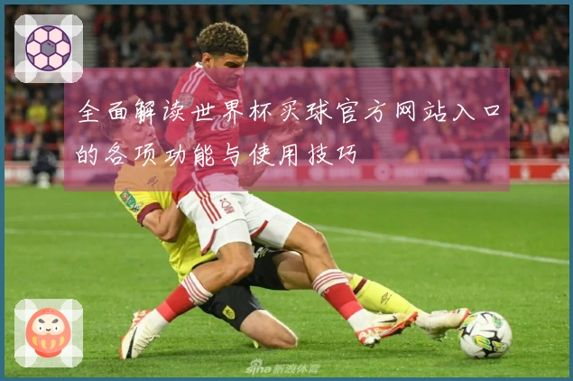 全面解读世界杯买球官方网站入口的各项功能与使用技巧