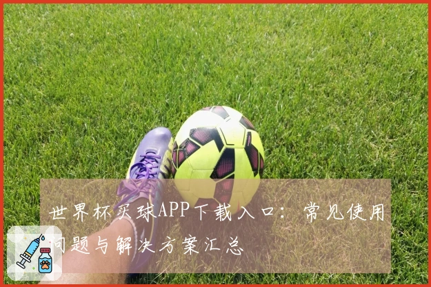 世界杯买球APP下载入口：常见使用问题与解决方案汇总