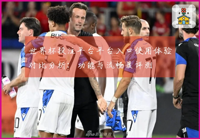 世界杯投注平台平台入口使用体验对比分析：功能与流畅度评测