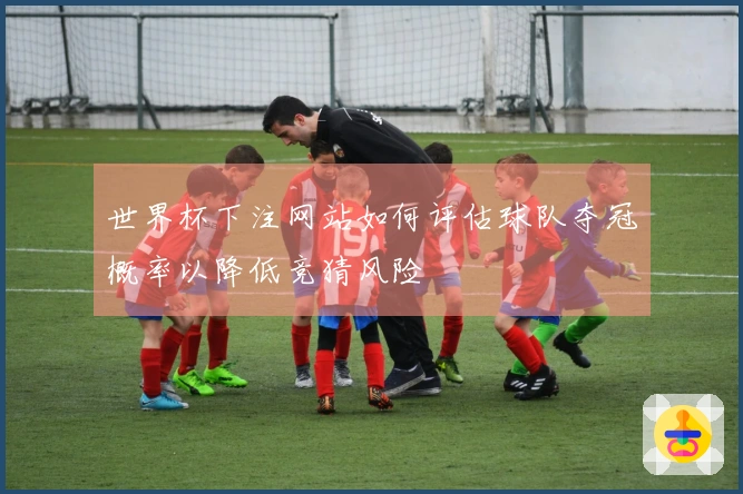 世界杯下注网站如何评估球队夺冠概率以降低竞猜风险