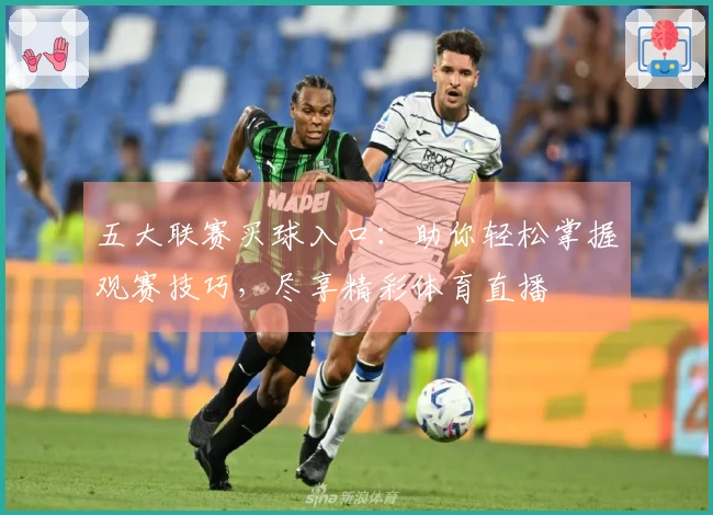 五大联赛买球入口:助你轻松掌握观赛技巧,尽享精彩体育直播