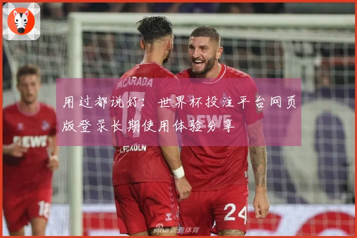 用过都说好：世界杯投注平台网页版登录长期使用体验分享