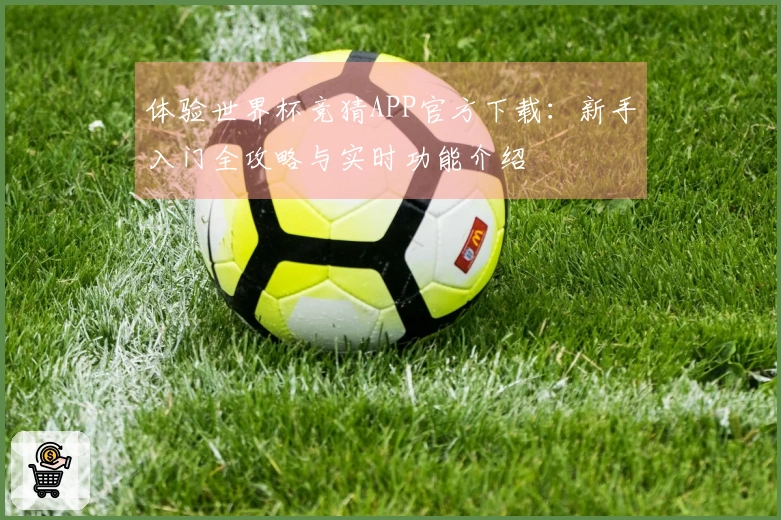 体验世界杯竞猜APP官方下载：新手入门全攻略与实时功能介绍