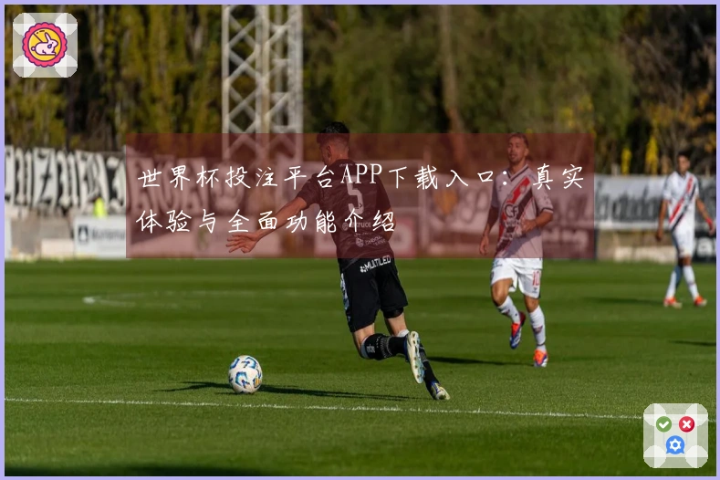 世界杯投注平台APP下载入口：真实体验与全面功能介绍