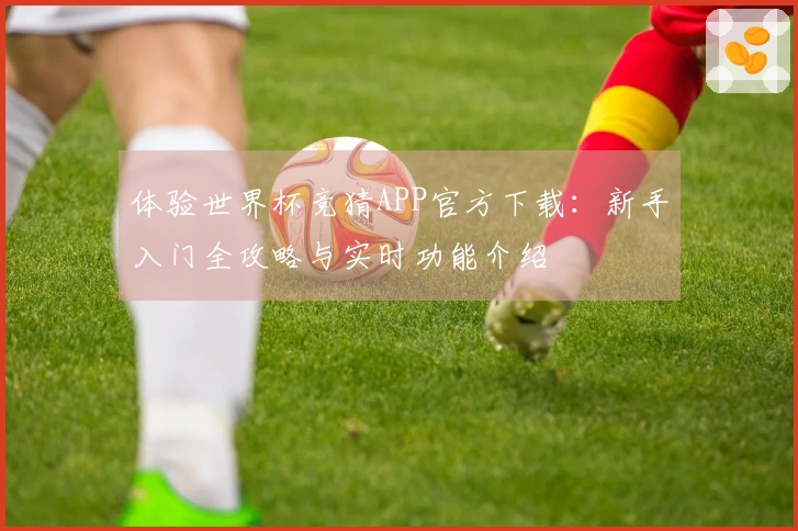 体验世界杯竞猜APP官方下载：新手入门全攻略与实时功能介绍