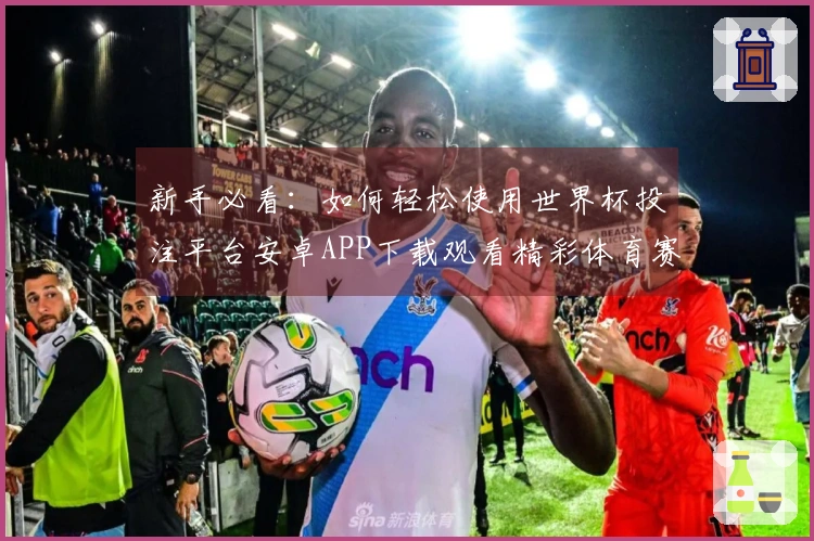 新手必看：如何轻松使用世界杯投注平台安卓APP下载观看精彩体育赛事