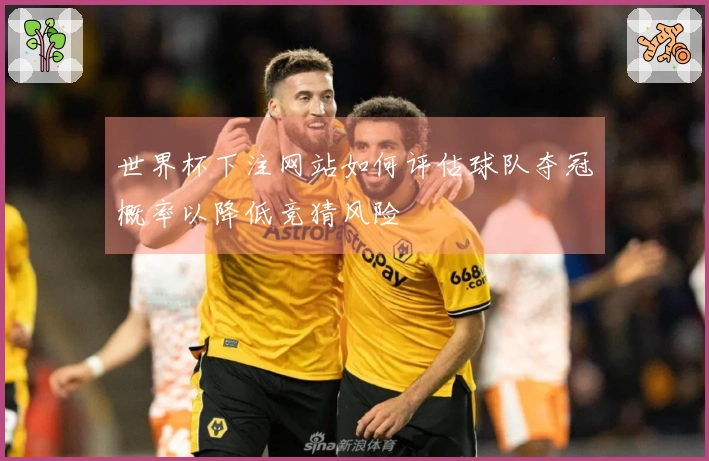 世界杯下注网站如何评估球队夺冠概率以降低竞猜风险